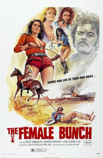 Женская компания (фильм 1971)