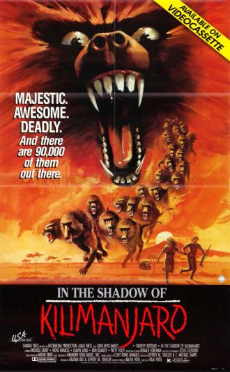 В тени Килиманджаро (фильм 1986)