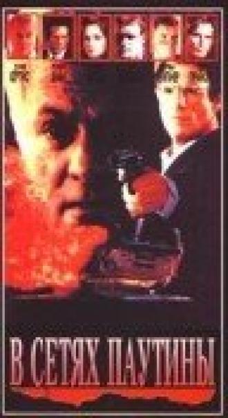 В сетях паутины (фильм 1992)