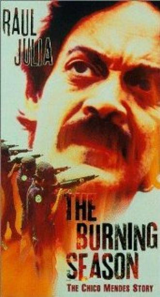 Огненный сезон (фильм 1994)