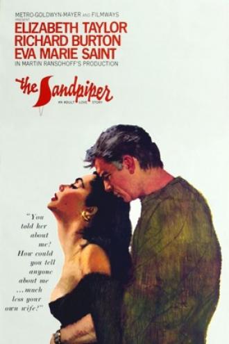 Кулик (фильм 1965)