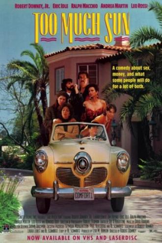 Слишком много солнца (фильм 1990)