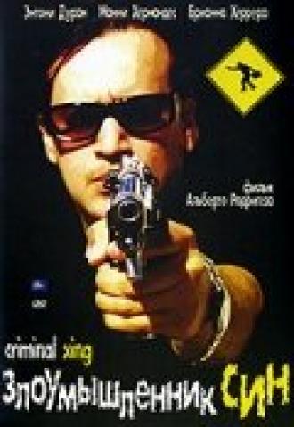 Злоумышленник Син (фильм 2007)