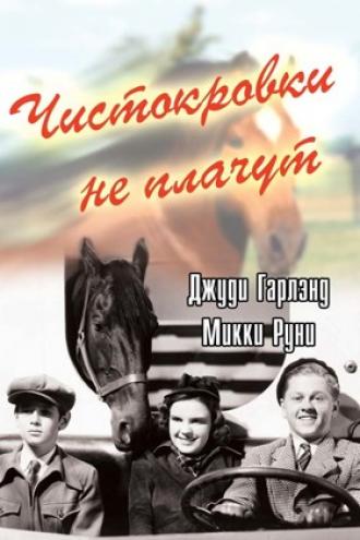 Чистокровки не плачут (фильм 1937)