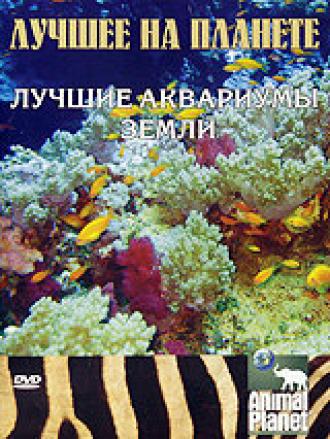 Animal Planet: Лучшее на планете. Лучшие аквариумы земли (фильм 2006)