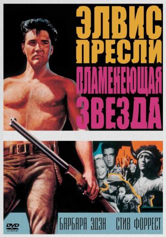 Пламенеющая звезда (фильм 1960)