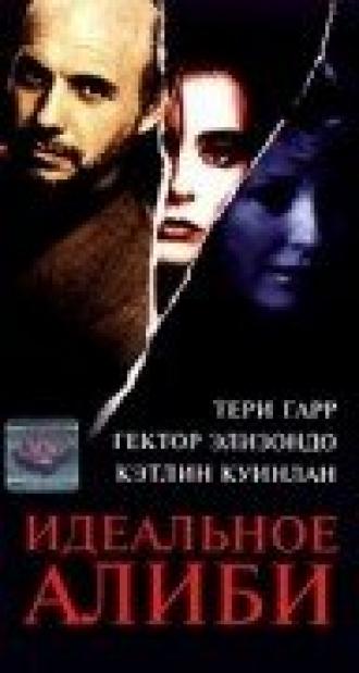 Идеальное алиби (фильм 1995)