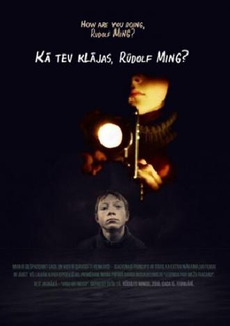 Как дела, Рудольф Минг? (фильм 2010)