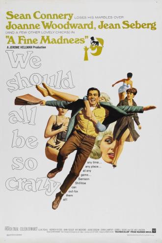 Прекрасное безумие (фильм 1966)