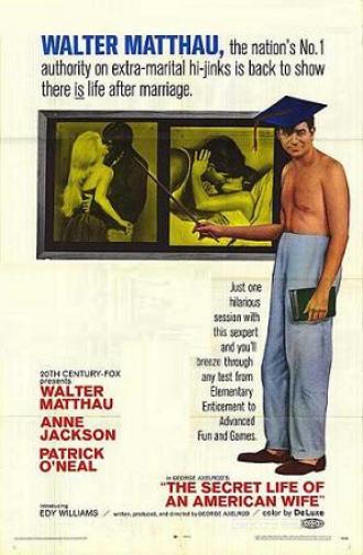 Тайная жизнь американской жены (фильм 1968)