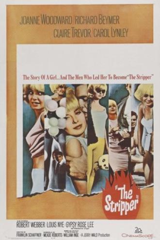 Стриптизерша (фильм 1963)