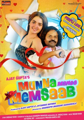 Мунна ищет жену (фильм 2014)
