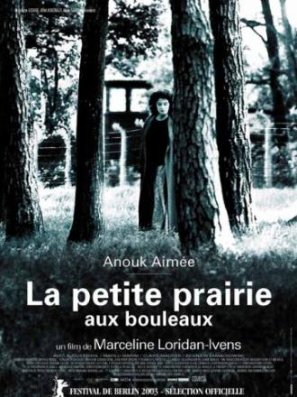 Березовый луг (фильм 2003)
