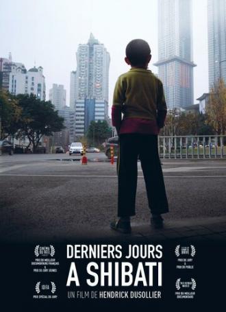 Последние дни в Шибати (фильм 2017)