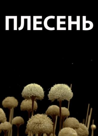 Плесень (фильм 2009)