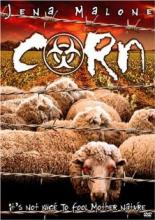 Corn 2004