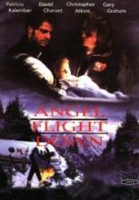 Падение борта Ангел (1996)