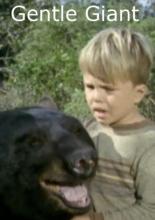 Gentle Giant (1967)