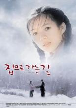 Дорога домой (1999)