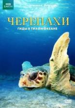 Черепахи: Гиды в Тихом океане 2008