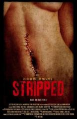 Stripped (2013)