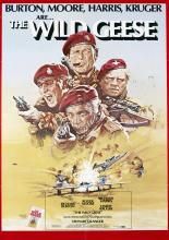 Дикие гуси (1978)