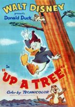 На дереве (1955)