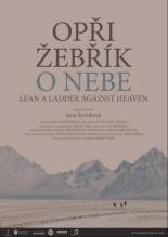Поставь лестницу к небу (2014)