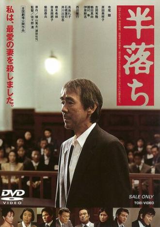Полупризнание (фильм 2004)