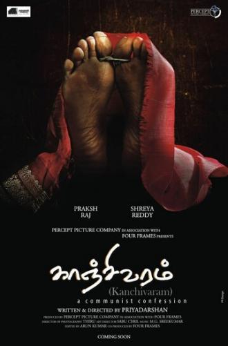 Свадебное сари (фильм 2008)