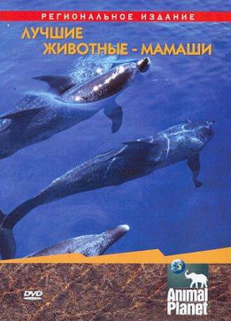 Animal Planet. Лучшие животные-мамаши (фильм 2004)