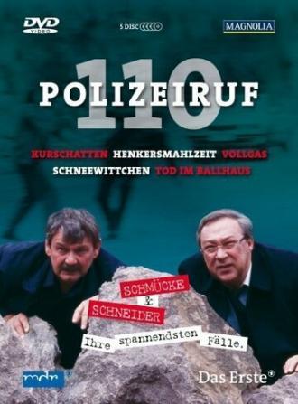 Телефон полиции — 110 (сериал 1971)