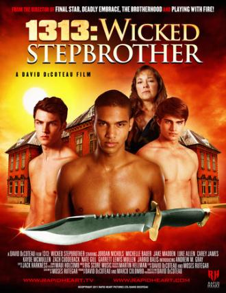Злой сводный брат (фильм 2011)