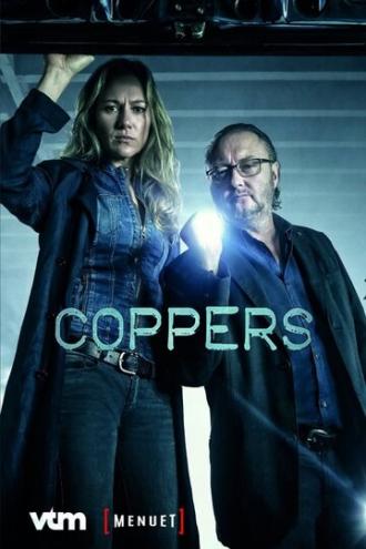 Грубое правосудие (сериал 2016)