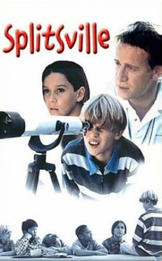 Развод и семеро детей (фильм 1999)