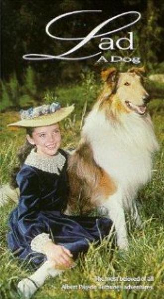 Lad: A Dog (фильм 1962)