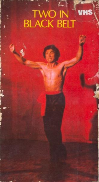 Двое в черном поясе (фильм 1978)