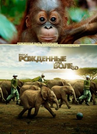 Рожденные на воле (фильм 2011)