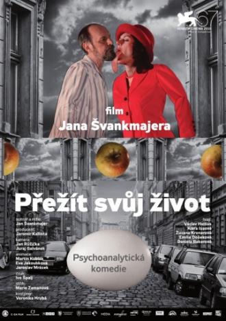 Пережить свою жизнь (фильм 2010)
