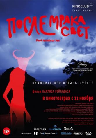 После мрака свет (фильм 2012)