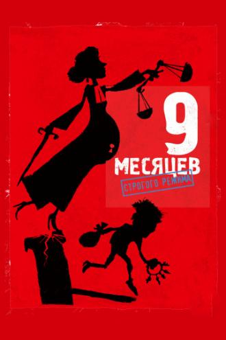 9 месяцев строгого режима (фильм 2013)