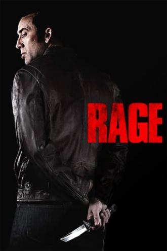 Гнев (фильм 2014)