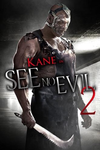 Не вижу зла 2 (фильм 2014)