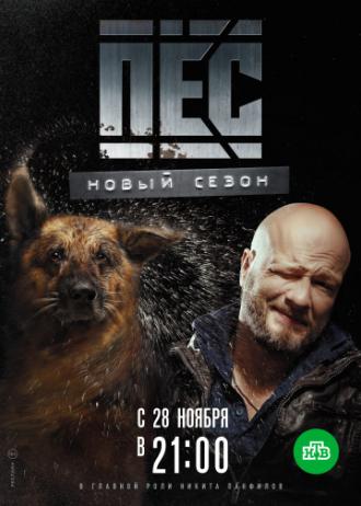 Пес (сериал 2015)