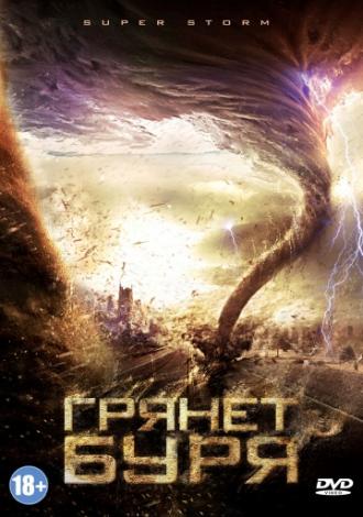 Грянет буря (фильм 2011)