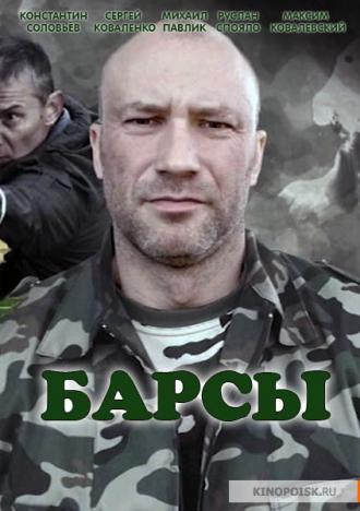 Барсы (сериал 2015)