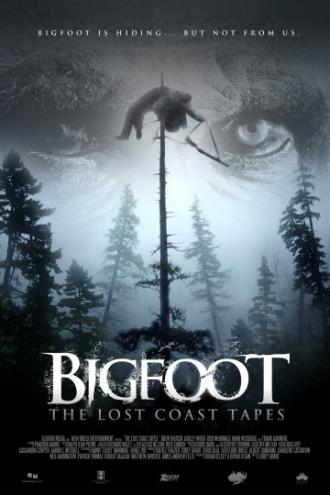 Пленки из Лост Коста (фильм 2012)