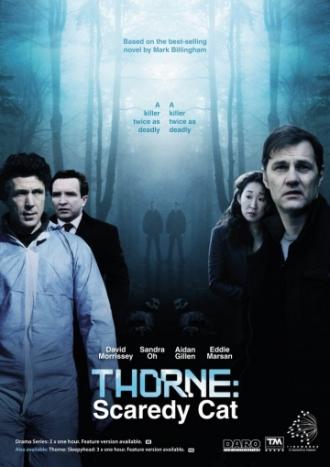 Торн: Пуганая ворона (фильм 2010)