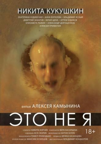 Это не я (фильм 2015)