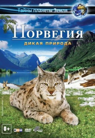 Норвегия 3D: Дикая природа (фильм 2013)